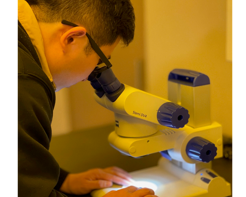 ニスティ分析業務